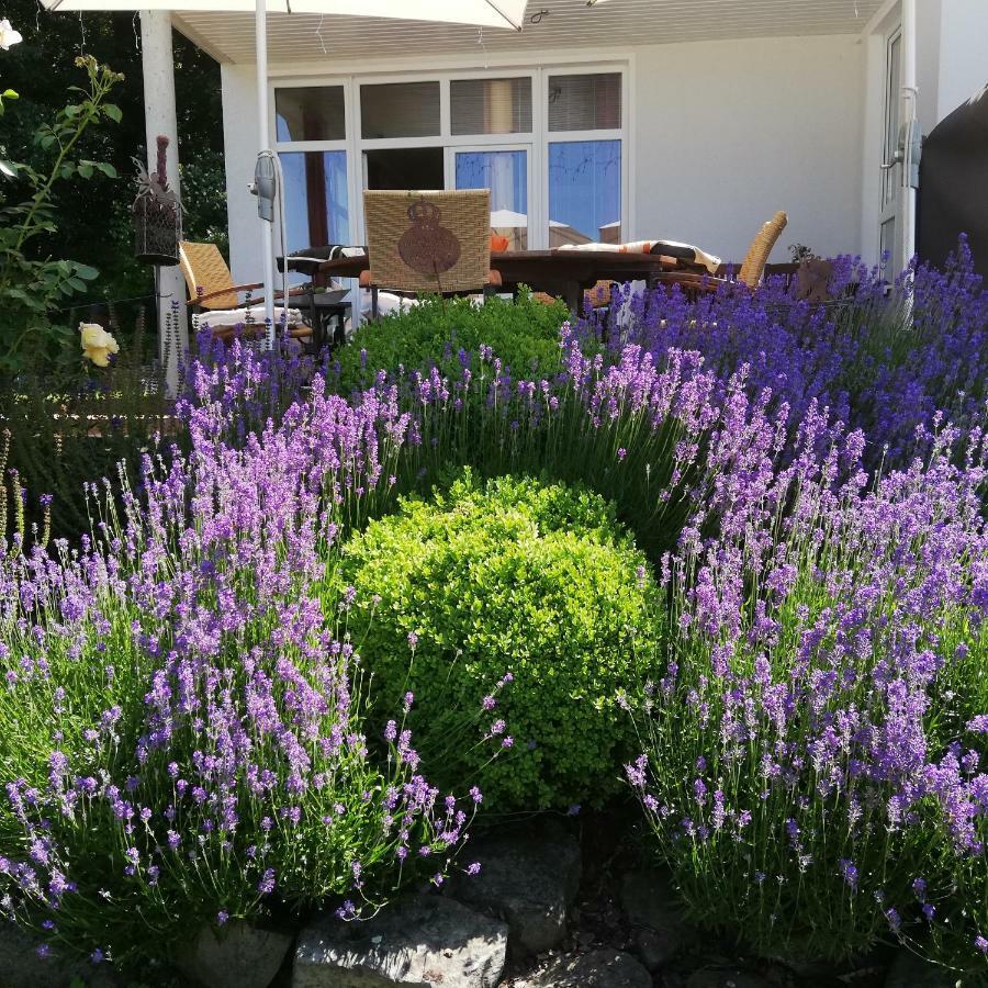 Apartment Am Benther Berg *